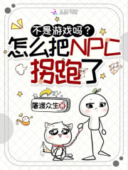 不是游戏吗？怎么把NPC拐跑了